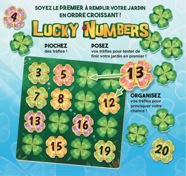 Dos de Boîte Jeu de Société d'Alignement Lucky Numbers