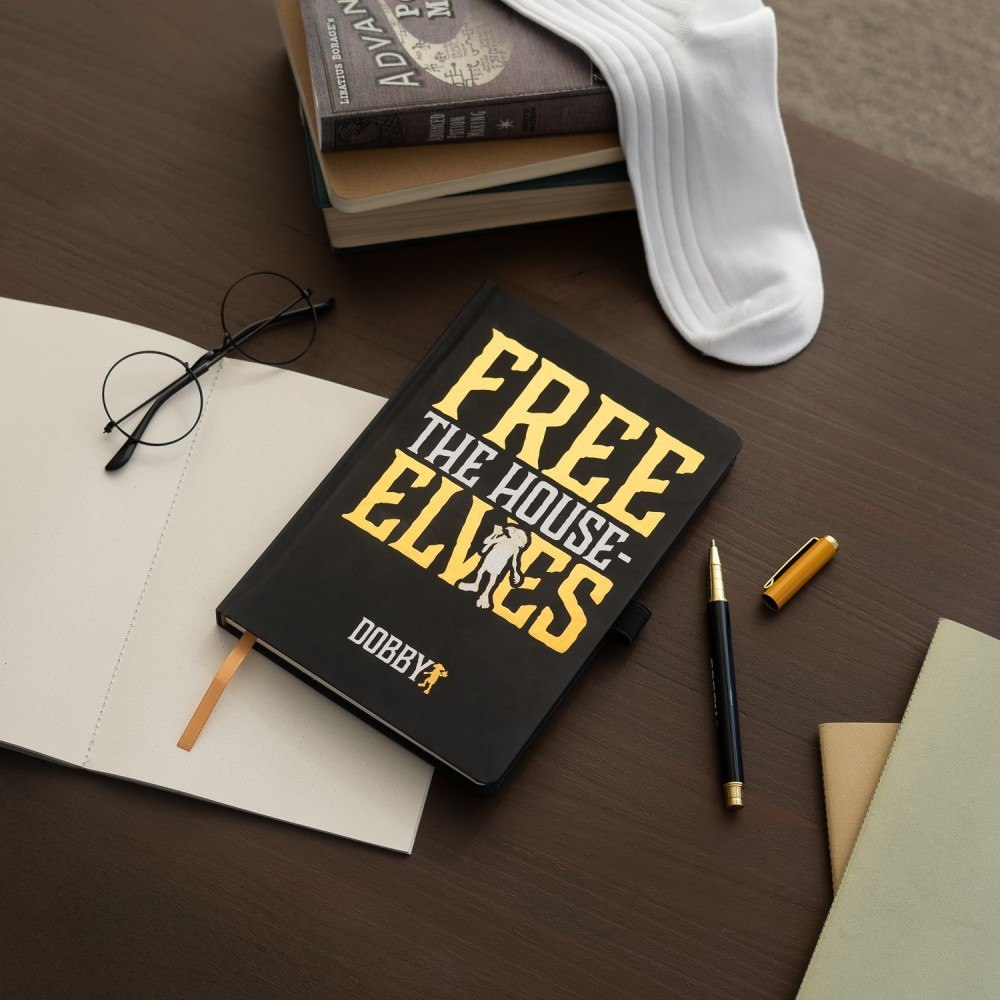 Situation Carnet Premium A5 avec Stylo Harry Potter Dobby